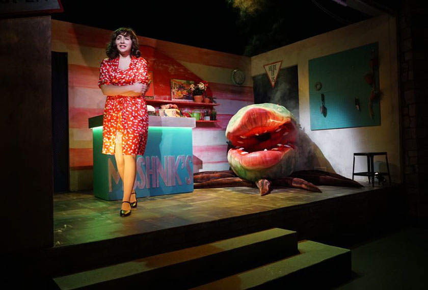"Little Shop of Horrors" (as Audrey) Photo Credit: Brendan Dillon