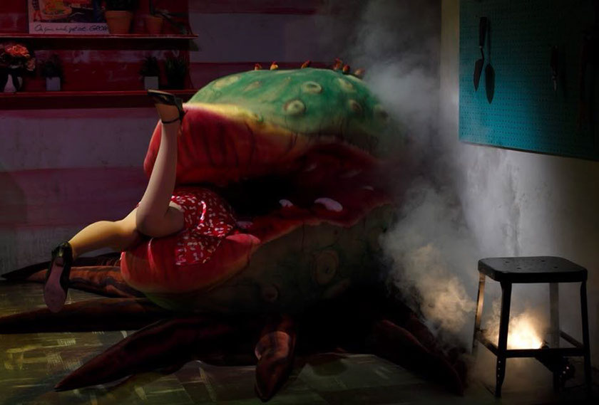 "Little Shop of Horrors" (as Audrey) Photo Credit: Brendan Dillon